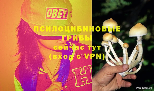круглые Алексеевка