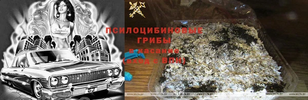 круглые Алексеевка